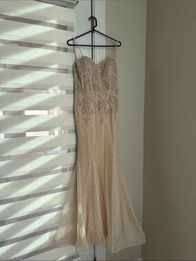 Xscape Blush Lace Mesh Slip Dress Maxi Gown